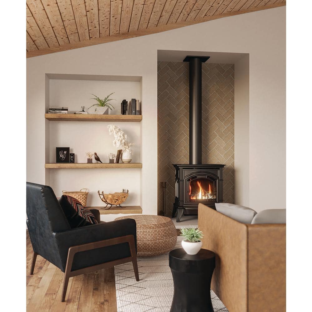 Ashley Hearth Products 23,500 BTU Vented Dual Fuel Cast Iron Gas Stove Heater AG23
